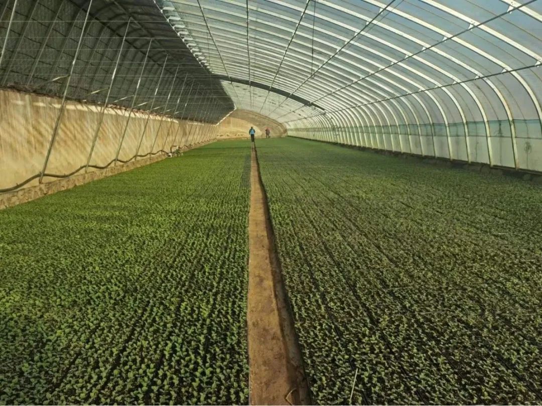 1718959432947094890.jpg 微信图片_20240621164333.jpg