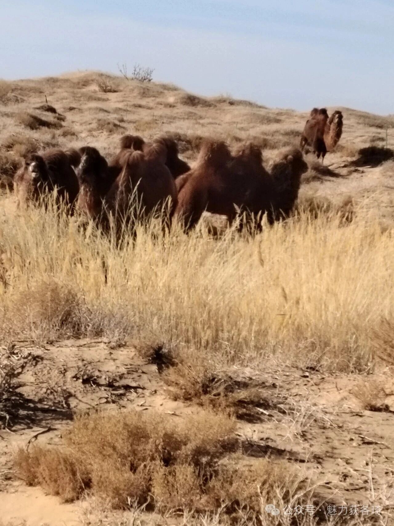 1773889585859035748.jpg 8.jpg